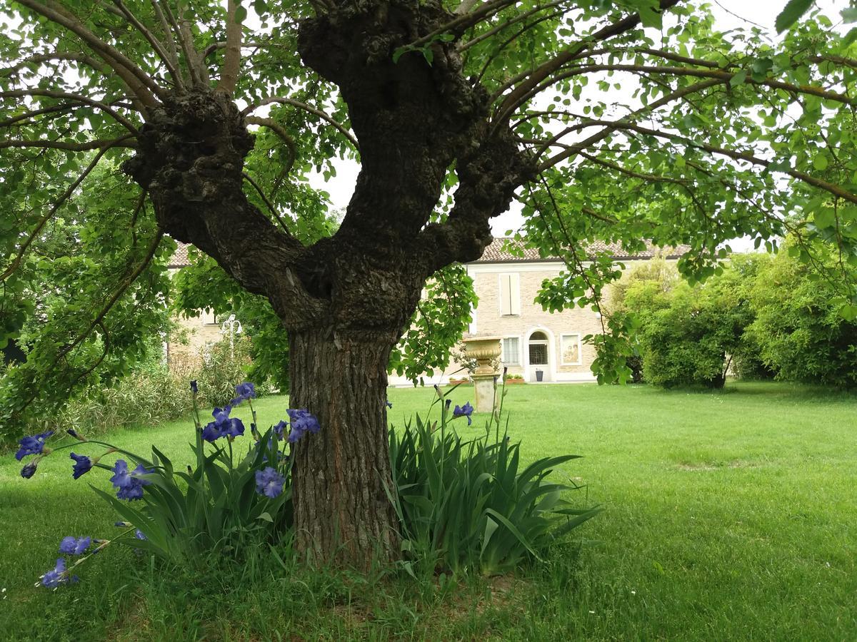 Relais Villa Roncuzzi Russi Kültér fotó